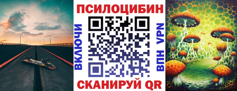 купить наркоту Монино Псилоцибиновые грибы Psilocybe